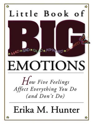 cover image of Little Book of Big Emotions